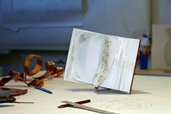 The Book model