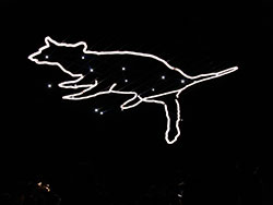 Ursa Major's Visit